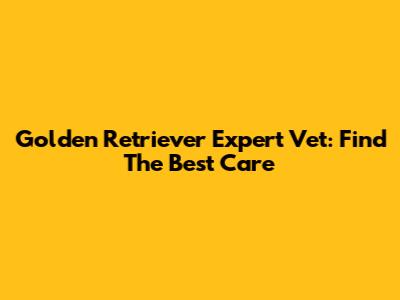 Golden Retriever Expert Vet: Find The Best Care