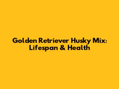 Golden Retriever Husky Mix: Lifespan & Health