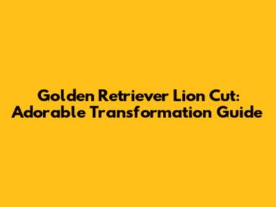 Golden Retriever Lion Cut: Adorable Transformation Guide