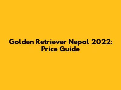Golden Retriever Nepal 2022: Price Guide