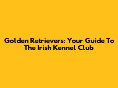 Golden Retrievers: Your Guide To The Irish Kennel Club