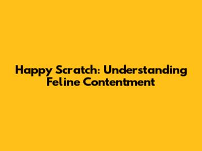 Happy Scratch: Understanding Feline Contentment