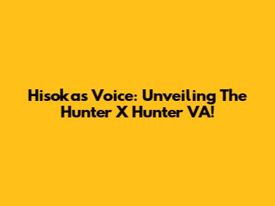 Hisoka's Voice: Unveiling The Hunter X Hunter VA!