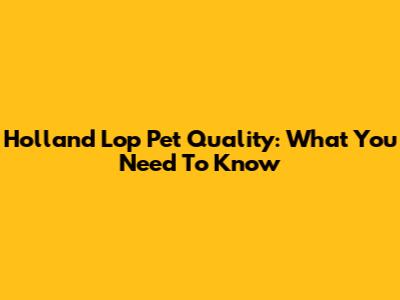 Holland Lop Pet Quality: What You Need To Know