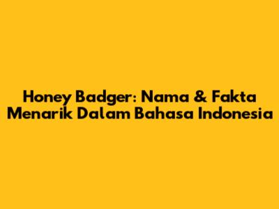 Honey Badger: Nama & Fakta Menarik Dalam Bahasa Indonesia