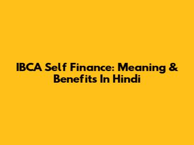 IBCA Self Finance: Meaning & Benefits In Hindi