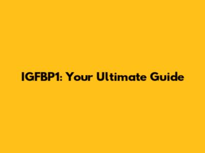 IGFBP1: Your Ultimate Guide