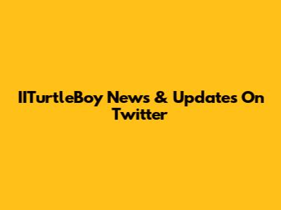 IITurtleBoy News & Updates On Twitter