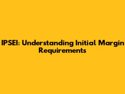 IPSEI: Understanding Initial Margin Requirements