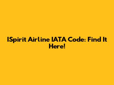ISpirit Airline IATA Code: Find It Here!