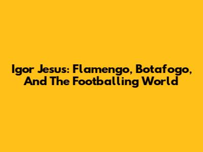 Igor Jesus: Flamengo, Botafogo, And The Footballing World