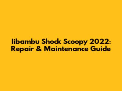 Iibambu Shock Scoopy 2022: Repair & Maintenance Guide