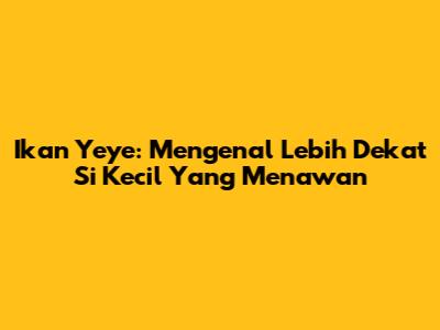 Ikan Yeye: Mengenal Lebih Dekat Si Kecil Yang Menawan
