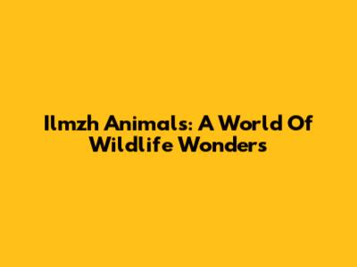 Ilmzh Animals: A World Of Wildlife Wonders