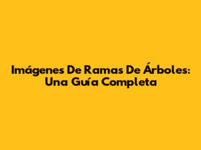 Imágenes De Ramas De Árboles: Una Guía Completa