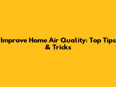 Improve Home Air Quality: Top Tips & Tricks