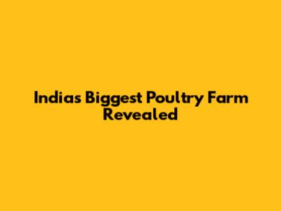India's Biggest Poultry Farm Revealed
