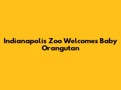 Indianapolis Zoo Welcomes Baby Orangutan