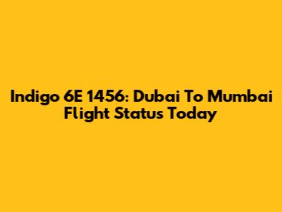 Indigo 6E 1456: Dubai To Mumbai Flight Status Today