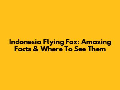 Indonesia Flying Fox: Amazing Facts & Where To See Them