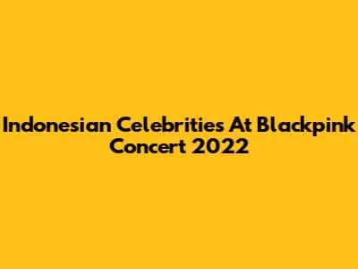Indonesian Celebrities At Blackpink Concert 2022