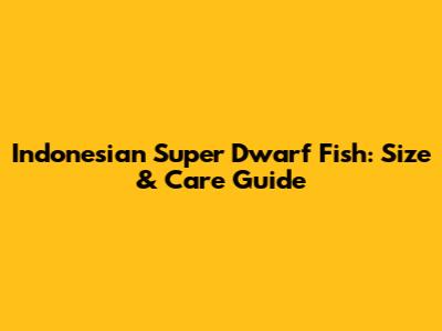 Indonesian Super Dwarf Fish: Size & Care Guide