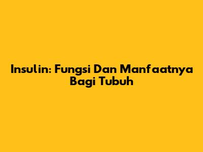 Insulin: Fungsi Dan Manfaatnya Bagi Tubuh