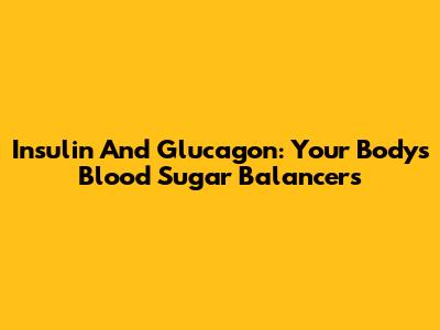 Insulin And Glucagon: Your Body's Blood Sugar Balancers