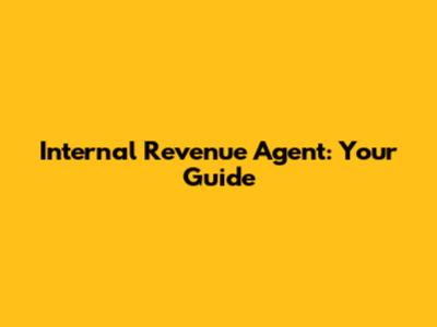 Internal Revenue Agent: Your Guide