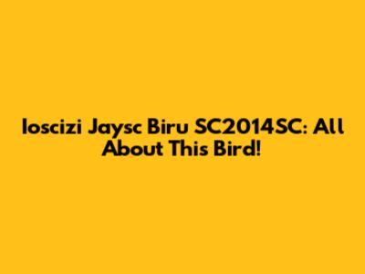 Ioscizi Jaysc Biru SC2014SC: All About This Bird!