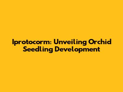 Iprotocorm: Unveiling Orchid Seedling Development