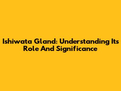 Ishiwata Gland: Understanding Its Role And Significance