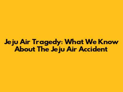 Jeju Air Tragedy: What We Know About The Jeju Air Accident