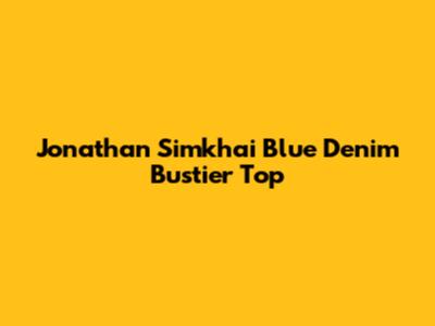 Jonathan Simkhai Blue Denim Bustier Top