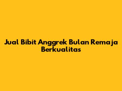 Jual Bibit Anggrek Bulan Remaja Berkualitas