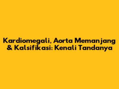 Kardiomegali, Aorta Memanjang & Kalsifikasi: Kenali Tandanya