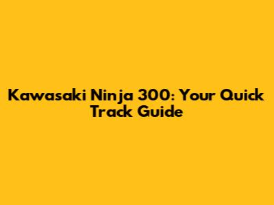 Kawasaki Ninja 300: Your Quick Track Guide