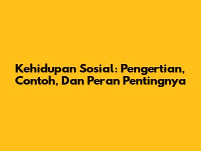 Kehidupan Sosial: Pengertian, Contoh, Dan Peran Pentingnya
