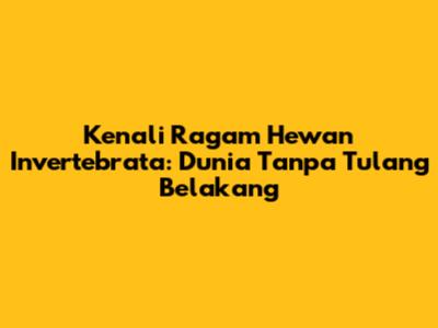 Kenali Ragam Hewan Invertebrata: Dunia Tanpa Tulang Belakang