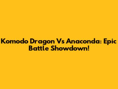 Komodo Dragon Vs Anaconda: Epic Battle Showdown!