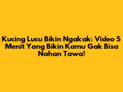 Kucing Lucu Bikin Ngakak: Video 5 Menit Yang Bikin Kamu Gak Bisa Nahan Tawa!
