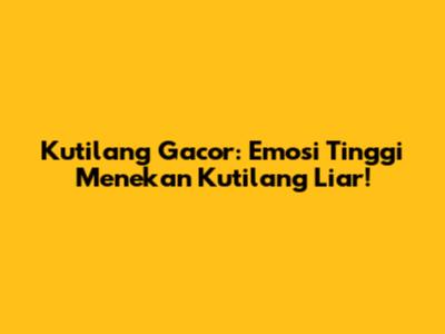 Kutilang Gacor: Emosi Tinggi Menekan Kutilang Liar!