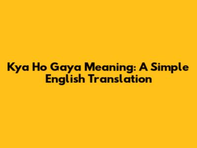 Kya Ho Gaya Meaning: A Simple English Translation