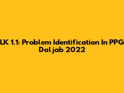 LK 1.1: Problem Identification In PPG Daljab 2022