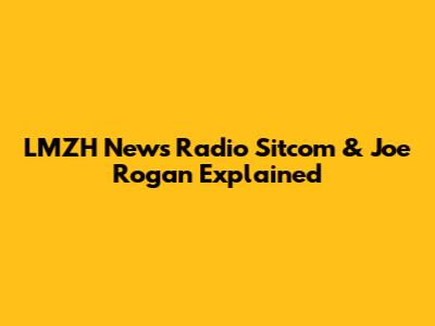LMZH News Radio Sitcom & Joe Rogan Explained
