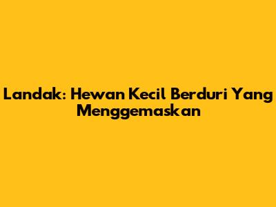 Landak: Hewan Kecil Berduri Yang Menggemaskan