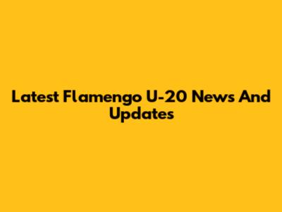 Latest Flamengo U-20 News And Updates