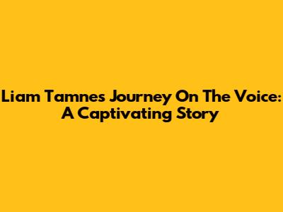 Liam Tamne's Journey On The Voice: A Captivating Story