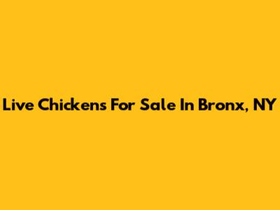 Live Chickens For Sale In Bronx, NY
