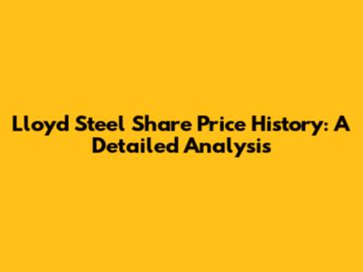 Lloyd Steel Share Price History: A Detailed Analysis